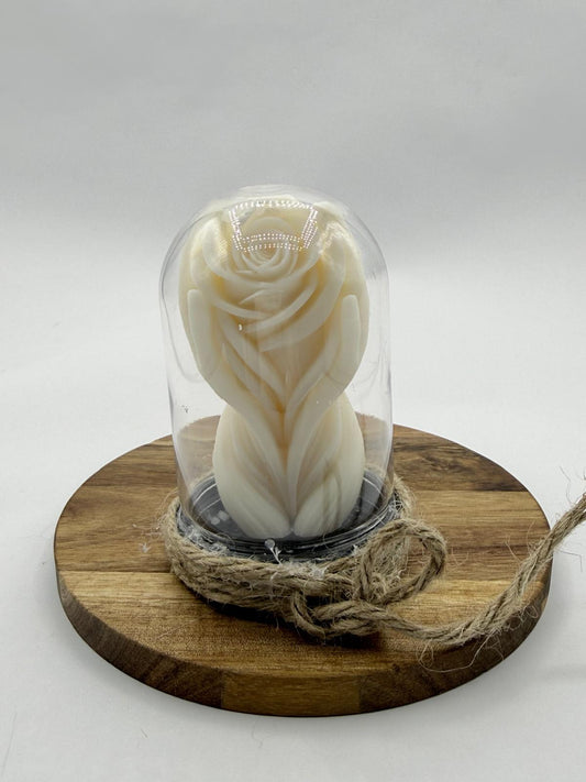 Bougie décorative sous cloche – Dernière pièce