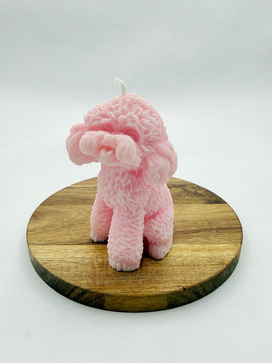 Bougie Caniche Coloré