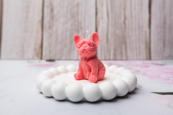 Bougie petit Bouledogue français